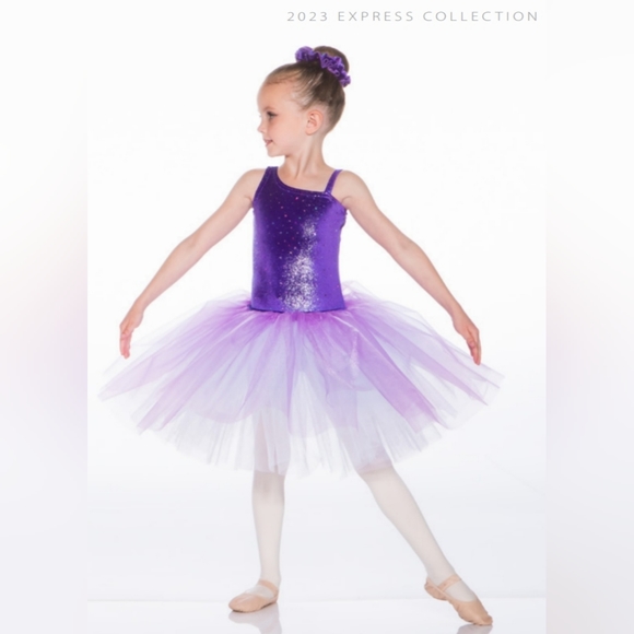 Jazzamatazz Costume size 4/5 purple sequin tutu - Picture 2 of 5